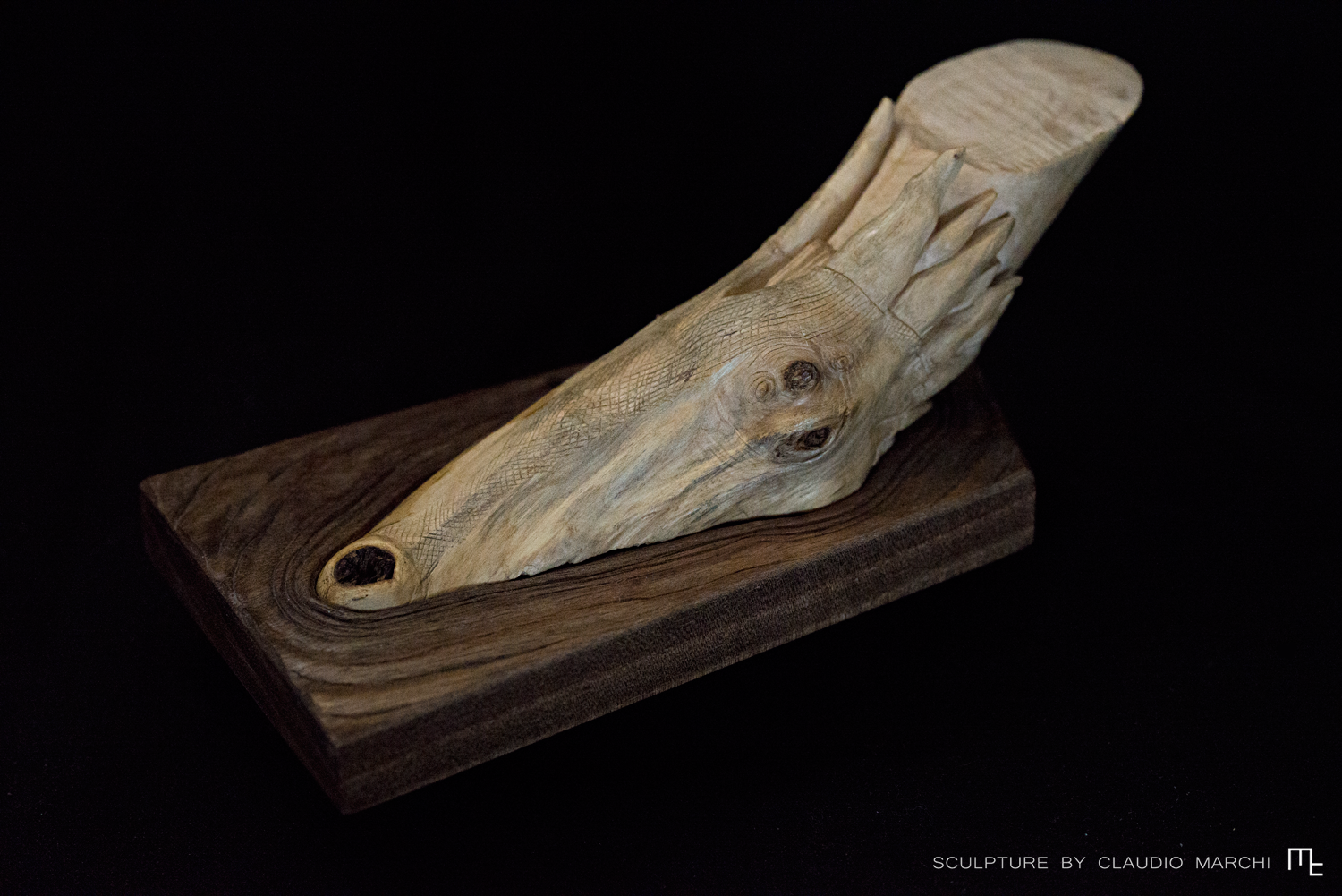 The dragon of balance - Claudio Marchi - 01