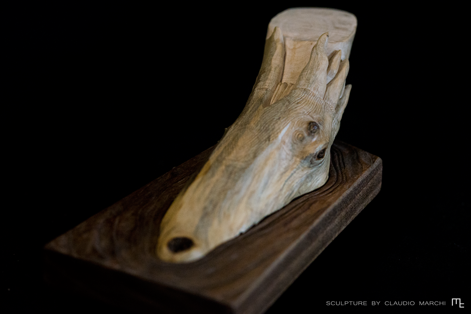 The dragon of balance - Claudio Marchi - 04