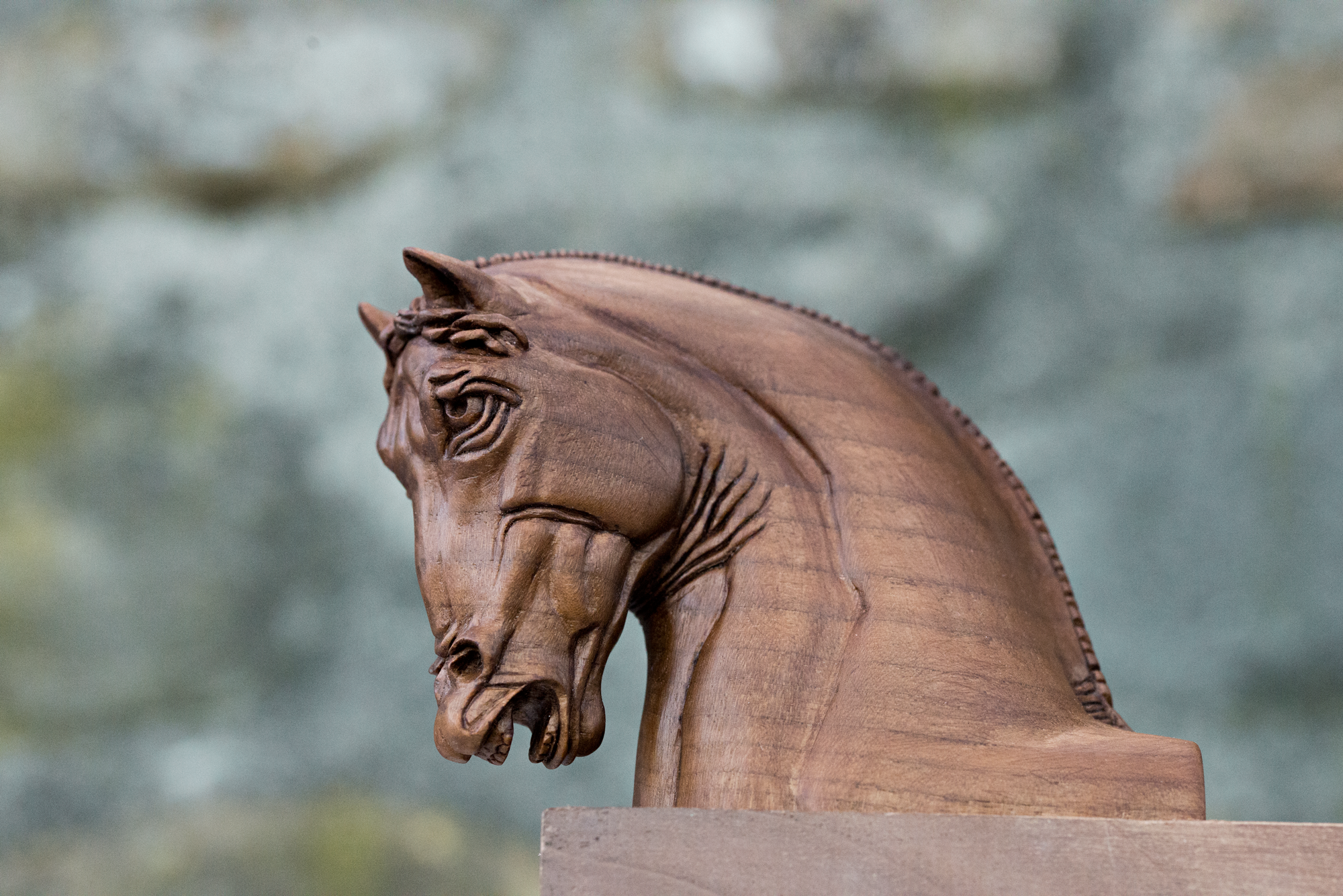 Leonardo da Vinci's horse