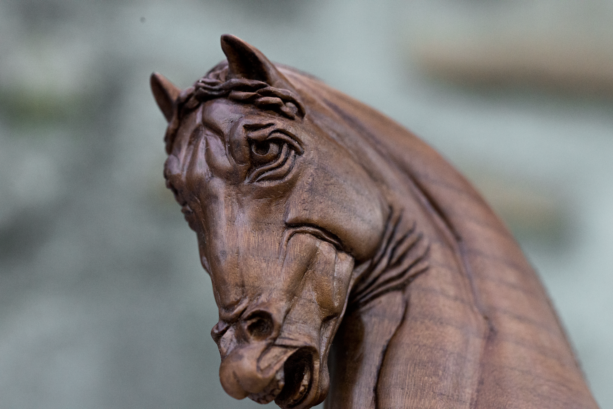 Leonardo da Vinci's horse